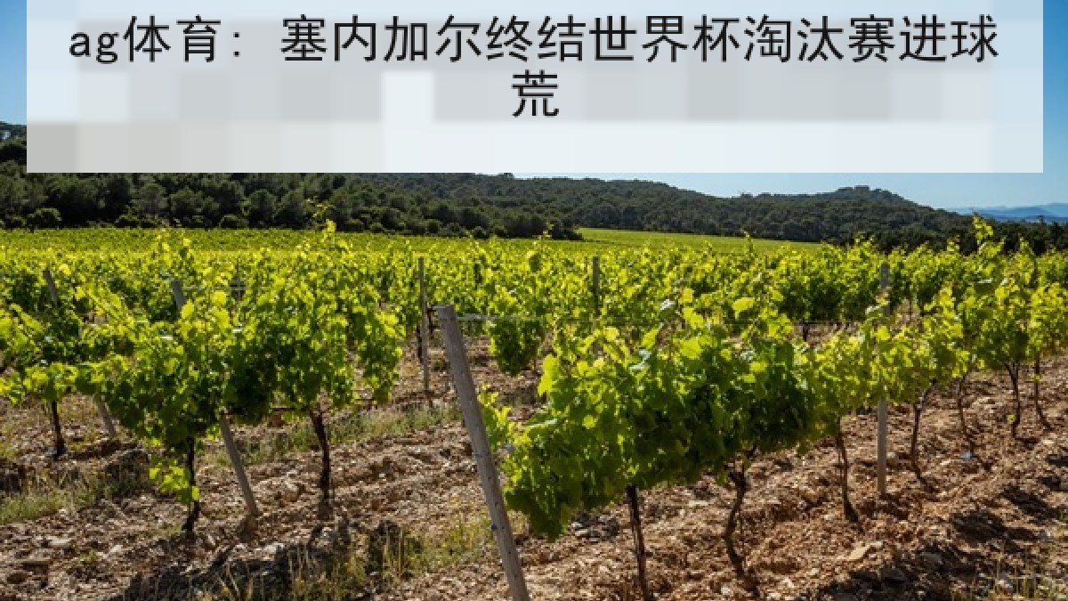 ag体育: 塞内加尔终结世界杯淘汰赛进球荒