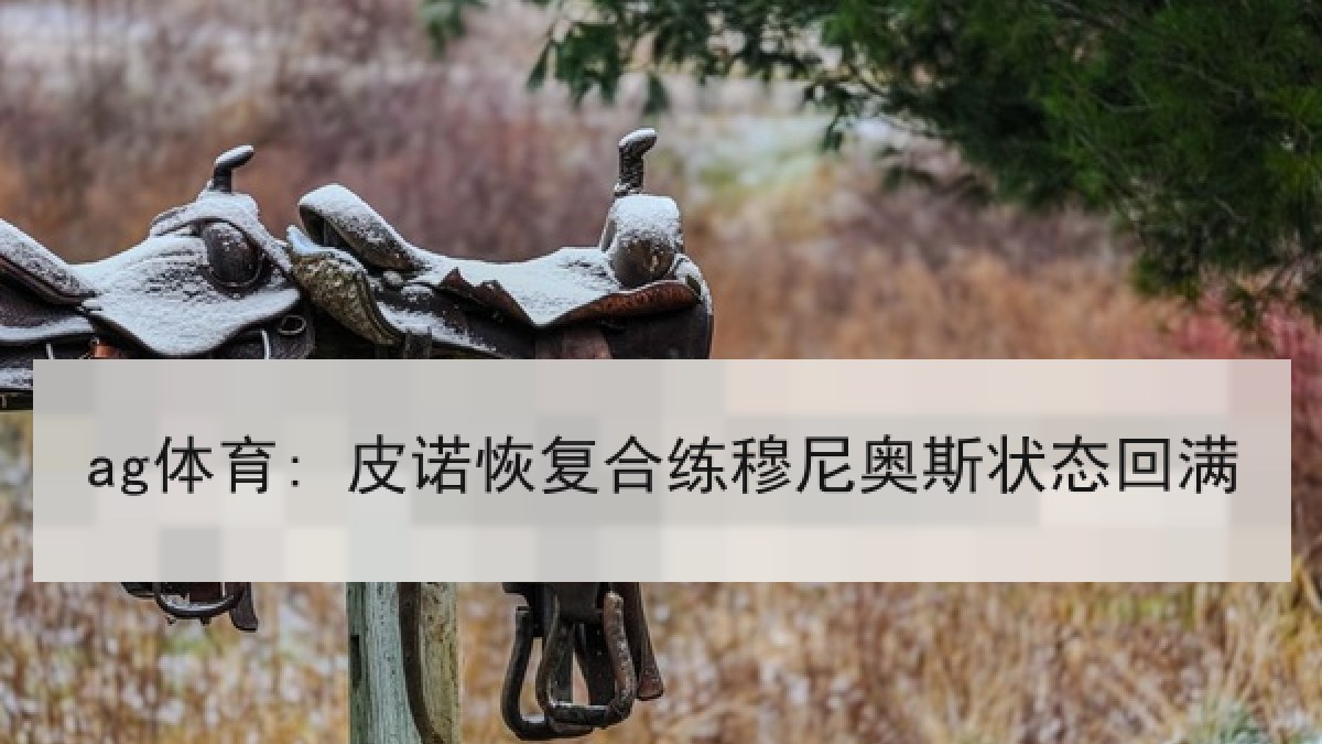 ag体育: 皮诺恢复合练穆尼奥斯状态回满