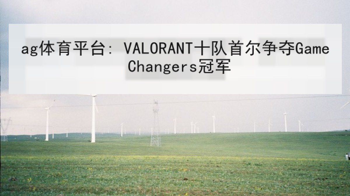 ag体育平台: VALORANT十队首尔争夺Game Changers冠军