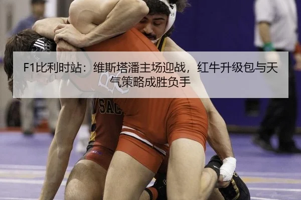 bi-li-shi-zhan-wei-si-ta-pan-zhu-chang-ying-zhan-hong-niu-sheng-ji-bao-yu-tian-qi-ce-lve-cheng-sheng-fu-shou-2-491.jpg