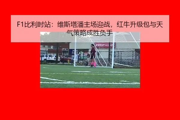 bi-li-shi-zhan-wei-si-ta-pan-zhu-chang-ying-zhan-hong-niu-sheng-ji-bao-yu-tian-qi-ce-lve-cheng-sheng-fu-shou-3-253.jpg